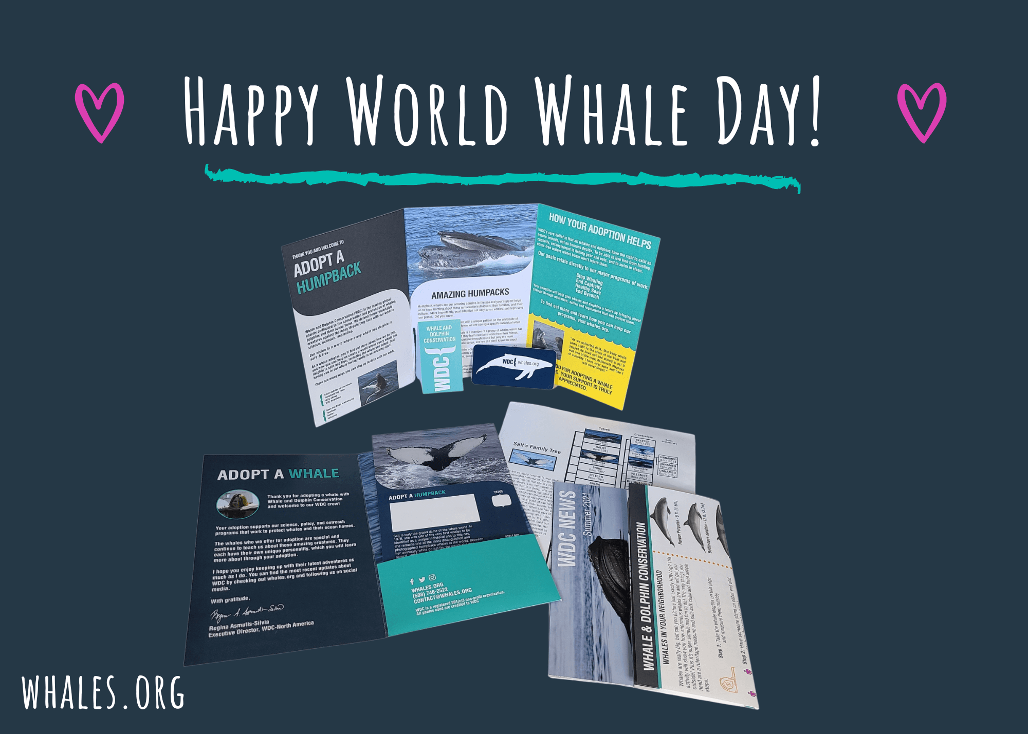 Celebrate World Whale Day February 19th, 2023 Inspire Canine
